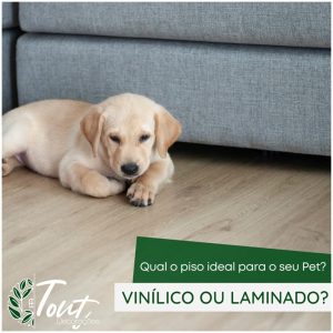 Portfólio